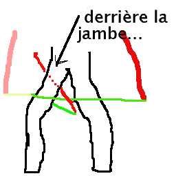 image_explicative